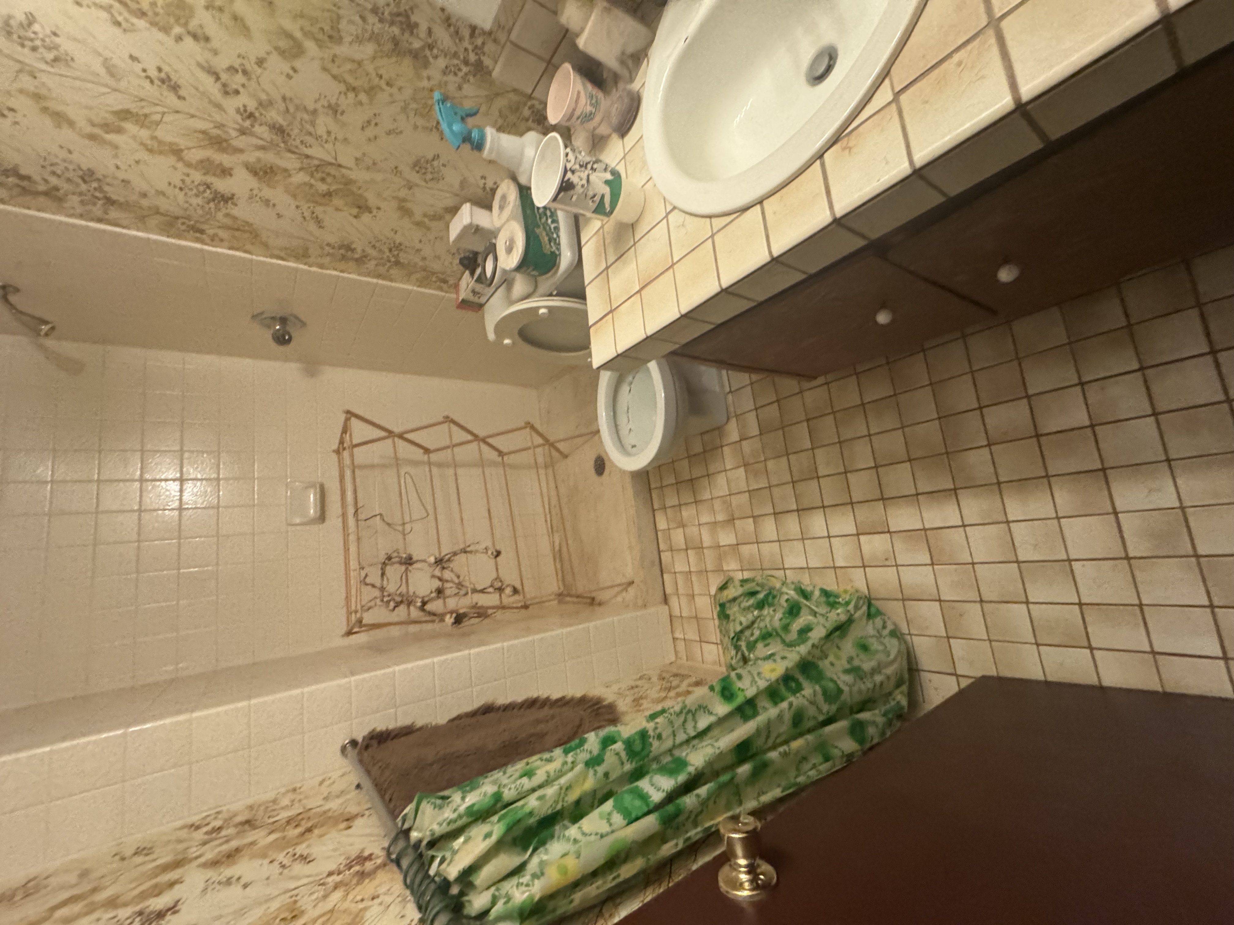 Bathroom Before
